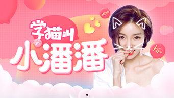 我们一起学猫叫视频,解锁猫咪萌态新姿势